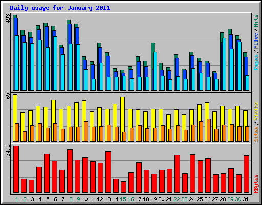 Daily usage for January 2011