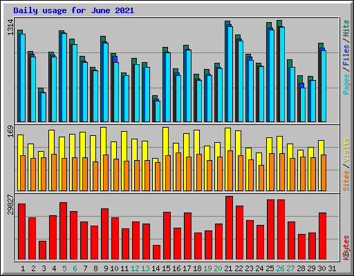 Daily usage for June 2021