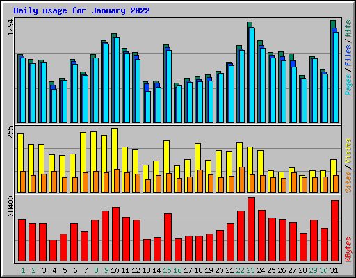 Daily usage for January 2022