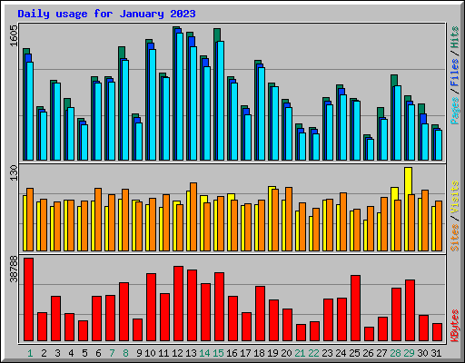 Daily usage for January 2023