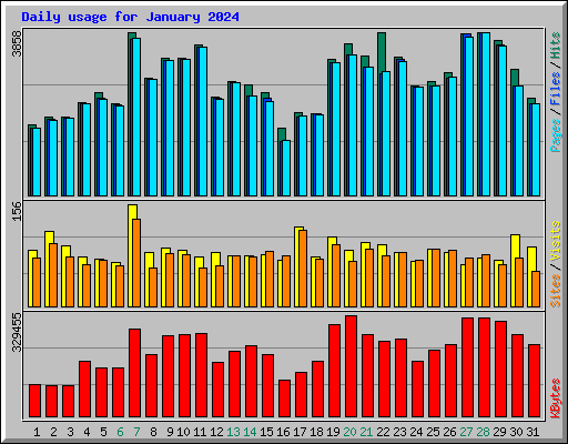 Daily usage for January 2024