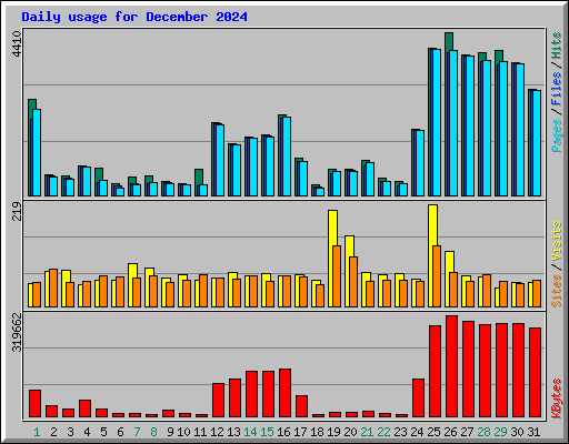 Daily usage for December 2024