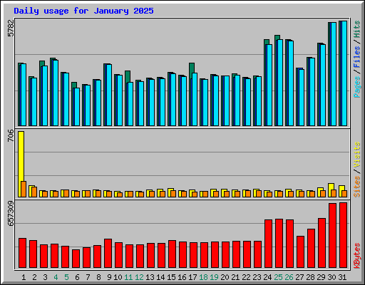 Daily usage for January 2025