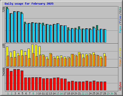 Daily usage for February 2025