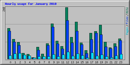 Hourly usage for January 2010