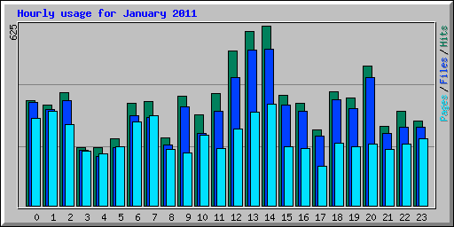 Hourly usage for January 2011