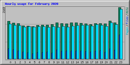 Hourly usage for February 2020