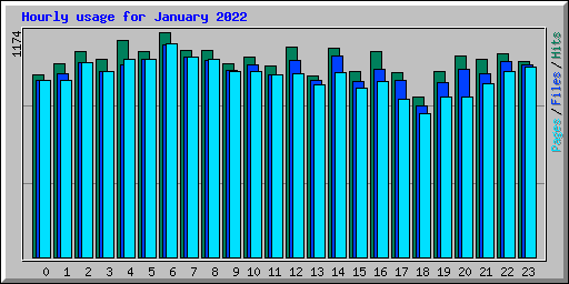 Hourly usage for January 2022