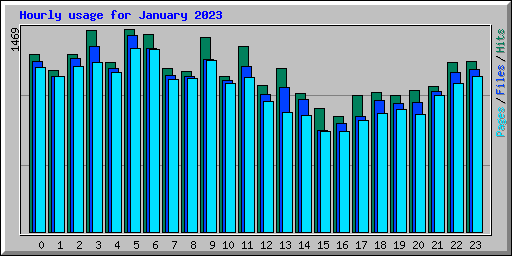 Hourly usage for January 2023