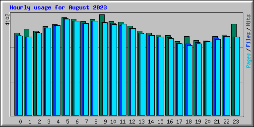 Hourly usage for August 2023