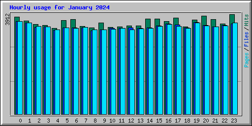 Hourly usage for January 2024