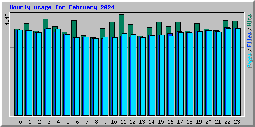 Hourly usage for February 2024