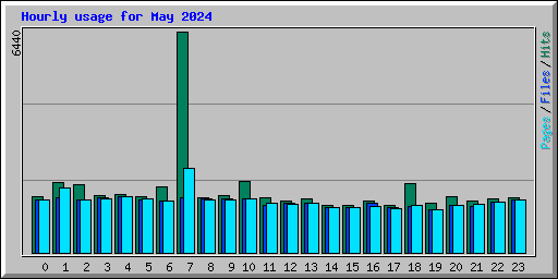 Hourly usage for May 2024