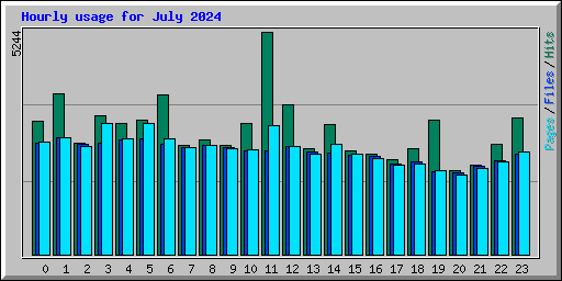 Hourly usage for July 2024