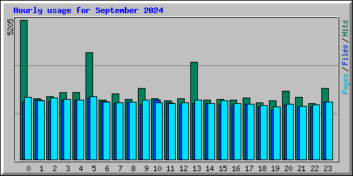 Hourly usage for September 2024