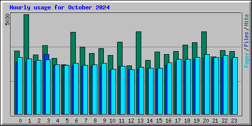 Hourly usage for October 2024