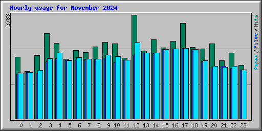 Hourly usage for November 2024
