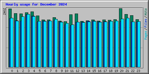 Hourly usage for December 2024
