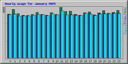 Hourly usage for January 2025