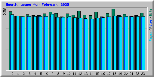 Hourly usage for February 2025