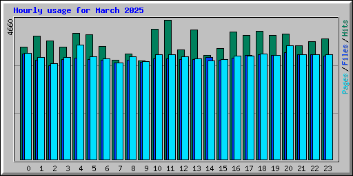 Hourly usage for March 2025