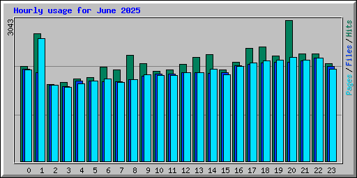 Hourly usage for June 2025